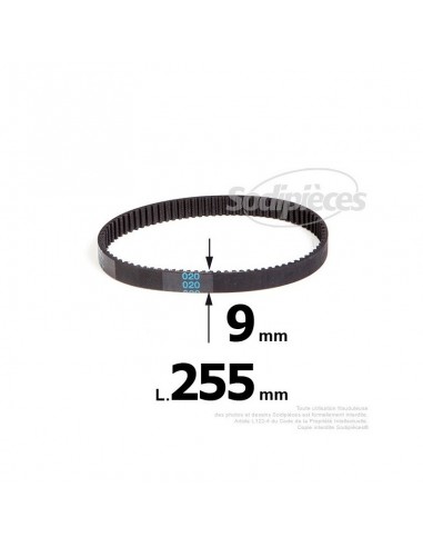 Courroie pour électro portatif 255x9