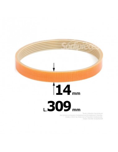 Courroie pour électro portatif 309x14