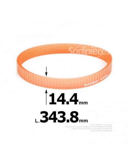 Courroie pour électro portatif 343,8x14,4