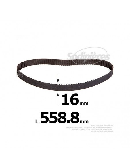 Courroie pour électro portatif 558,8x16