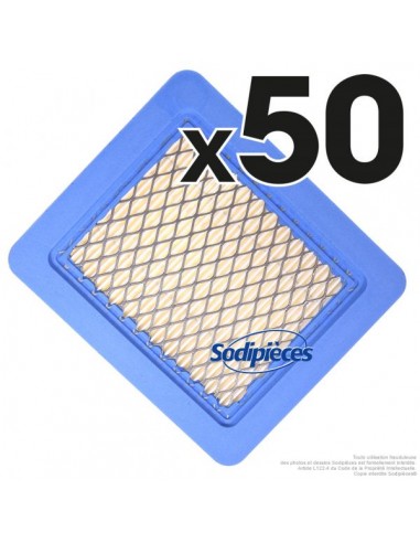 Filtre-a-air-pour-Briggs-et-Stratton-399959-50-ex-43198