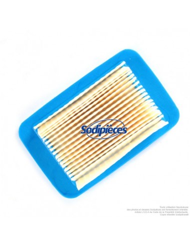 Filtre-a-air-pour-Echo-A226-000-031-A226-00032-A226-000-730-24471