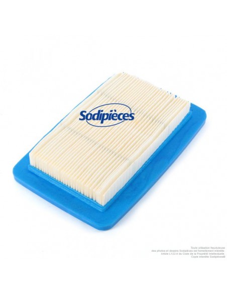 Filtre-a-air-pour-souffleur-Echo-A226-000410-24472