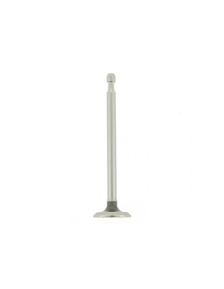 Soupape pour B&S 211119