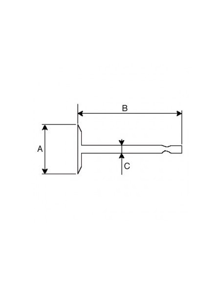 Soupape pour B&S 211119