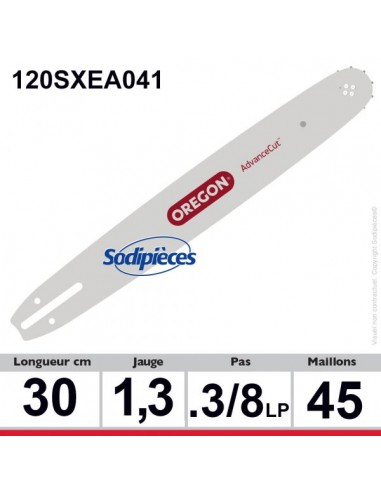 Guide-120SXEA041-Oregon-Advance-cut-30-cm-80708
