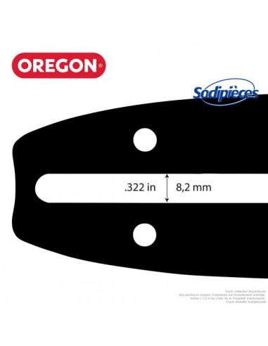 Guide-120SXEA041-Oregon-Advance-cut-30-cm-80708