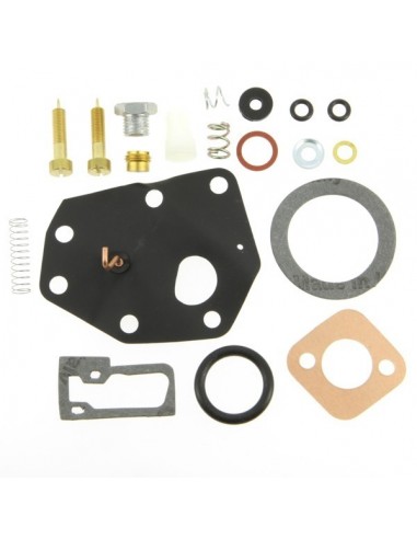 Kit réparation carburateur pour B&S 494622.