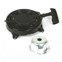 Lanceur pour B&S 493295