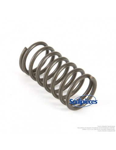 Ressort-pour-riveteuse-deriveteuse-compacte-Tecomec-23544