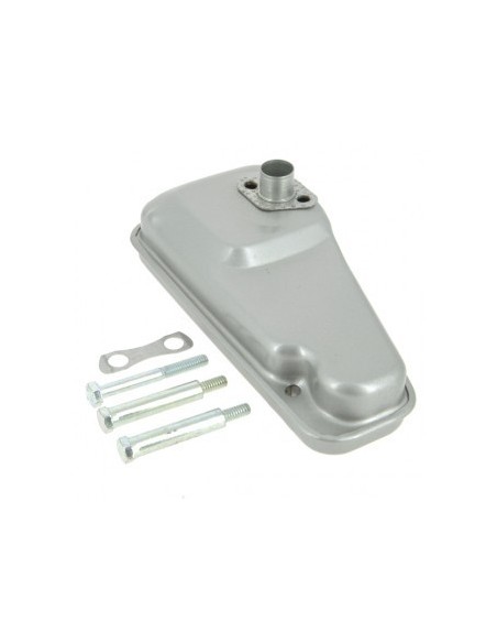 Silencieux pour B&S 391492