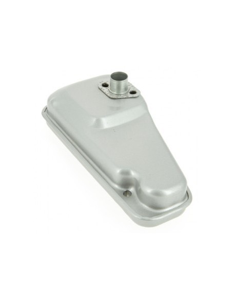 Silencieux pour B&S 391492