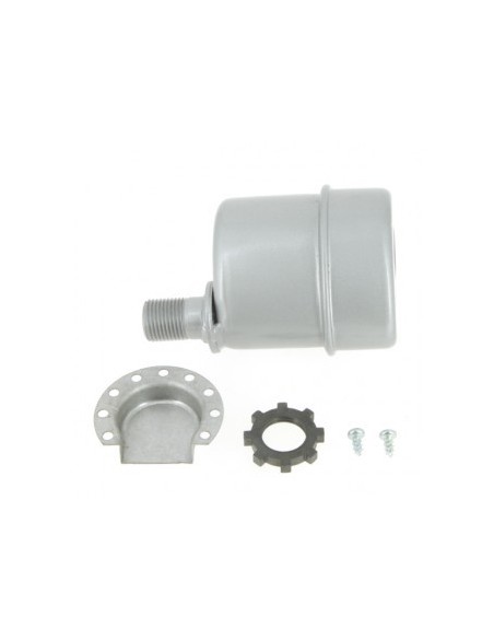 Silencieux pour B&S 392811