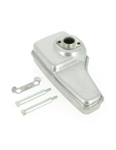 Silencieux pour B&S 490547