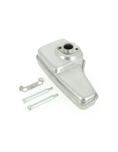 Silencieux pour B&S 490547