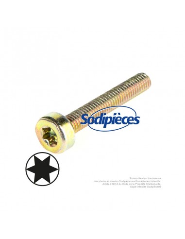 Vis-Torx-27-M5-x-30-pour-Stihl-9036-341-1070-Par-10-73058