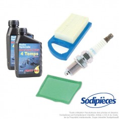 Kit-dentretien-complet-pour-moteurs-BS-Powerbuilt-OHV-INTEK-IC-OHV-105HP-135HP-43145