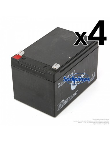 Batterie-de-demarrage-12V-12-Ah-Par-4-43012