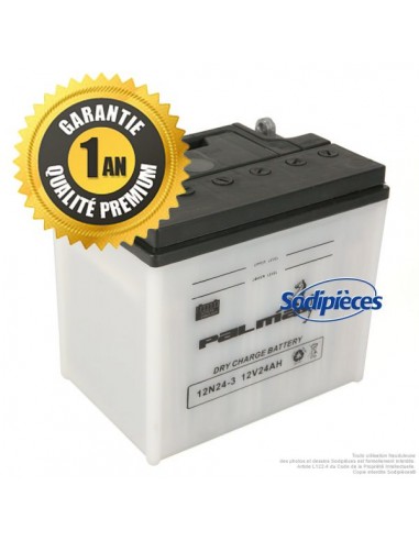 Batterie-seche-Premium-Palma-12N24-3-04642