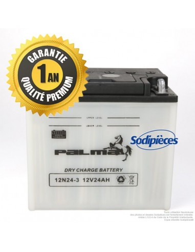 Batterie-seche-Premium-Palma-12N24-3-04642