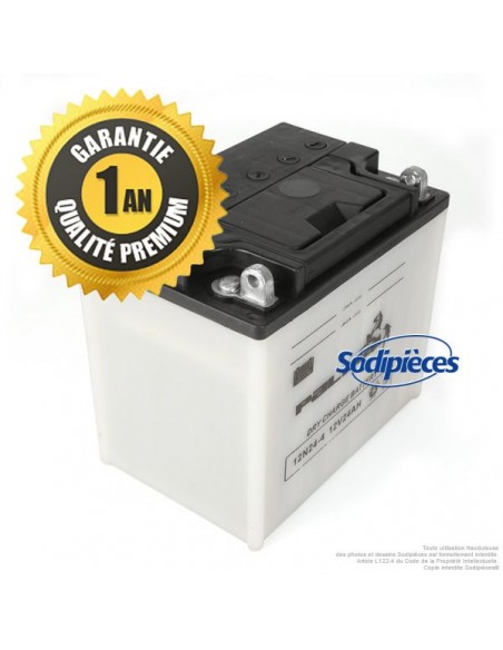 Batterie-seche-Premium-Palma-12N24-4-04641