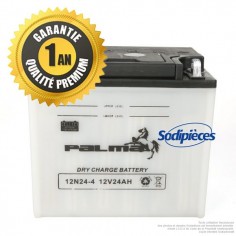 Batterie-seche-Premium-Palma-12N24-4-04641 2