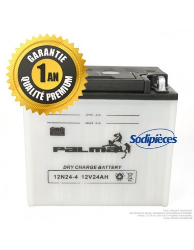 Batterie-seche-Premium-Palma-12N24-4-04641