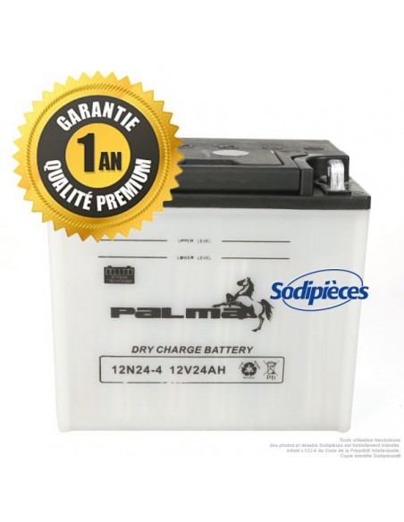 Batterie-seche-Premium-Palma-12N24-4-04641