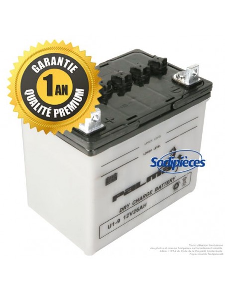 Batterie-seche-Premium-Palma-U1-9-04643