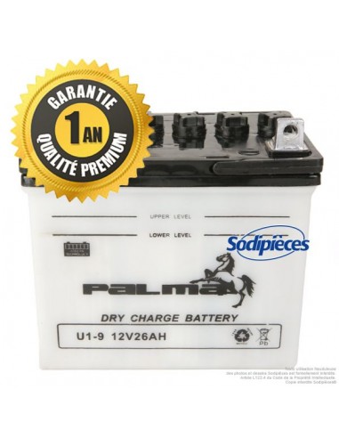 Batterie-seche-Premium-Palma-U1-9-04643