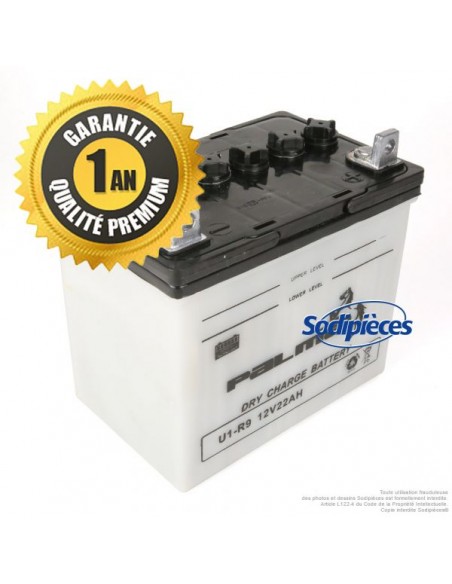 Batterie-seche-Premium-Palma-U1-R9-04640