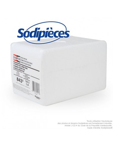 Bougie-Champion-CCH843S-remplace-CJ8W24-par-24-26420