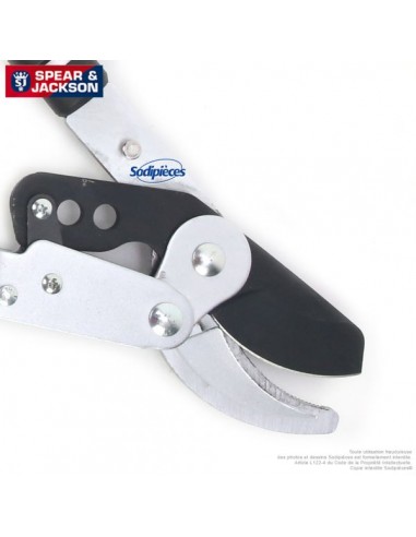 Elagueur-avec-manche-telescopique-Spear-Jackson-19073