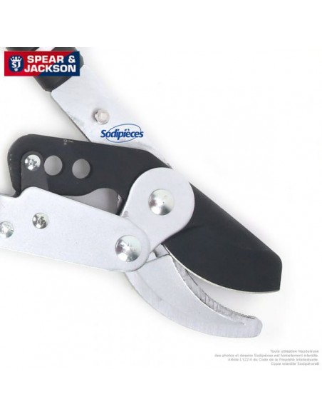 Elagueur-avec-manche-telescopique-Spear-Jackson-19073