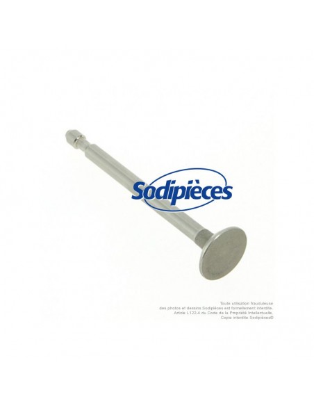 Soupape-pour-Briggs-Stratton-296-676-06147