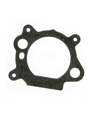 Joint de filtre pour Briggs et Stratton 272653