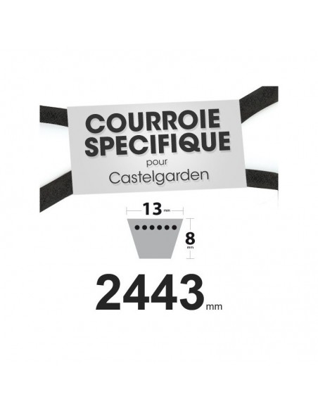 Courroie tondeuse spécifique Castelgarden 35062001/0. 13 mm x 2443 mm
