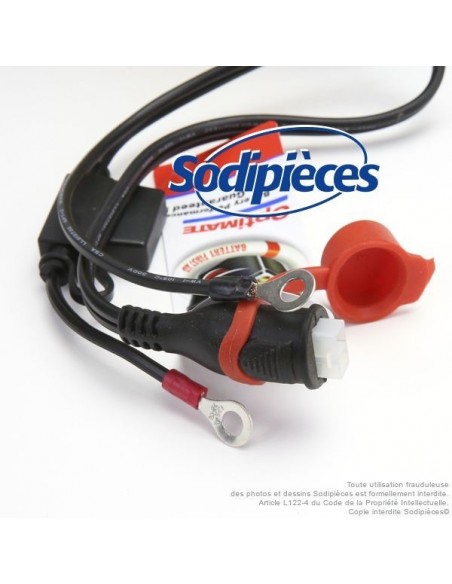 Chargeur pour 12/24V, AGM, GEL et conventionnelles - Courant de charge: 4A