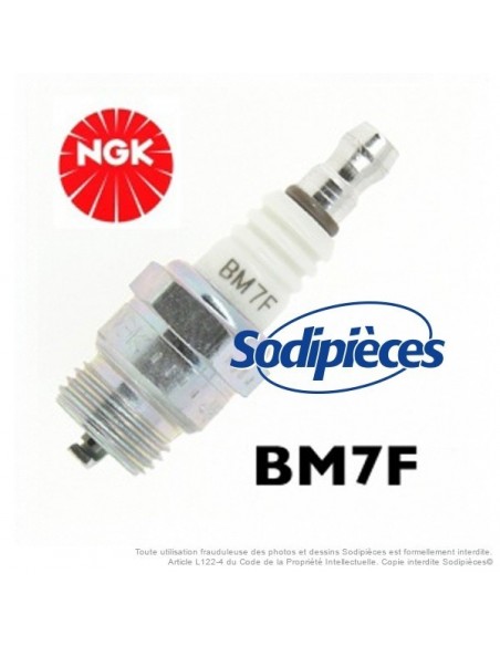 Bougie type BM7F. NGK