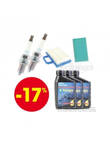 Kit d'entretien complet pour moteurs Briggs & Stratton INTEK Bi-cylindre en «V» de 18 à 25 cv