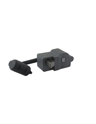 Bobine / Module d'allumage adaptable...