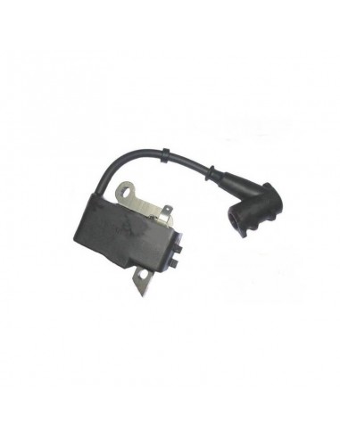 Bobine / Module d'allumage adaptable...